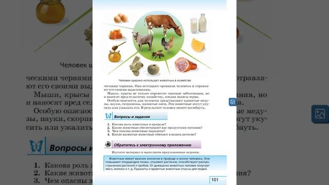Биология 5к "Живой организм" §22 Значение животных в природе и жизни человека смотреть онлайн
