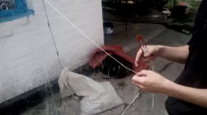 обзор рамовой сети