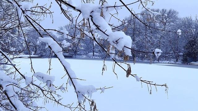 Snowing ,Calm Music With Beautiful Winter Pictures,Soothing Music For Studying, Relaxing Or Sleepin