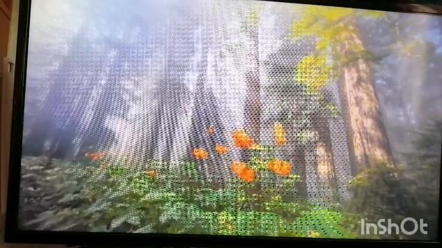 Тропы смотреть онлайн