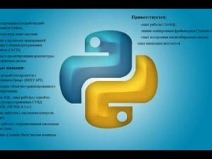 Практика Python  Разработка сайта книжного магазина часть 1