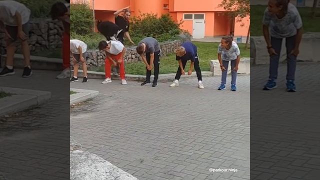 Ninja - The Parkour Dog смотреть онлайн