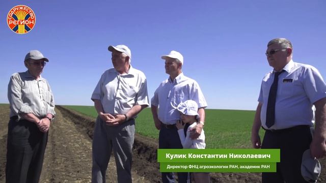 Проект «Антиповский» смотреть онлайн