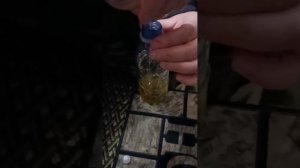 Тест масла Taneco 5w40