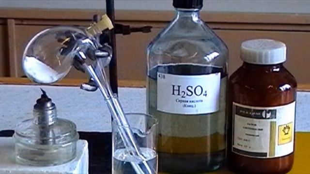 Кот Шрёдингера Найти живым или мёртвым смотреть онлайн