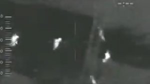 Мутанты в Чернобыле разорвали военного!