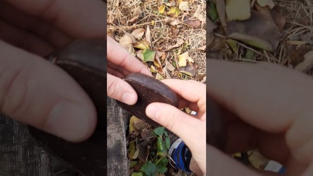 Мега пряник "Jam Ball" Toffy ball со вкусом варёнки смотреть онлайн