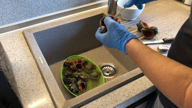 РАПАНЫ. ЛОВИМ И ГОТОВИМ