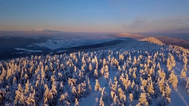 Мелодии саксофона, красивые гитары и море!! Слушать -О любви поёт саксофон !Cаксофон, Гитар и флейт смотреть онлайн