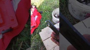 Замена ГРМ на Skoda Rapid 1.6 MPI 2017 год