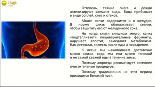 Весеннее межсезонье: очищение и здоровье смотреть онлайн