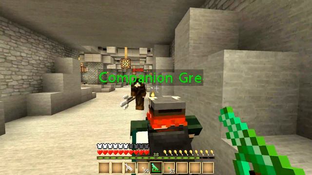 Cleansing the Assassin's Guild: Minecraft - Custom NPC Mod смотреть онлайн