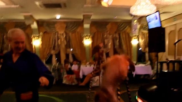 Шоу с участием обезьянок для гостей сказки востока смотреть онлайн
