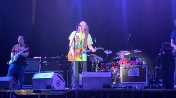 Чиж и Ко-18 берёз