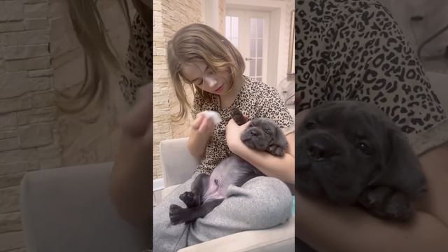 Важнейшая процедура!! Чистим пятки))??? смотреть онлайн