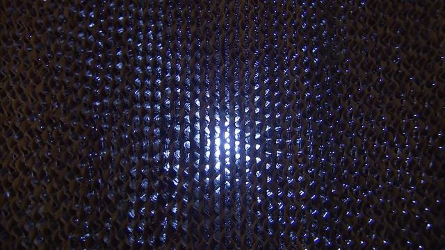 The Birthing Process of a Piglet смотреть онлайн