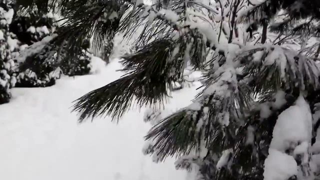 Январь.Погода радует настоящей зимой... смотреть онлайн