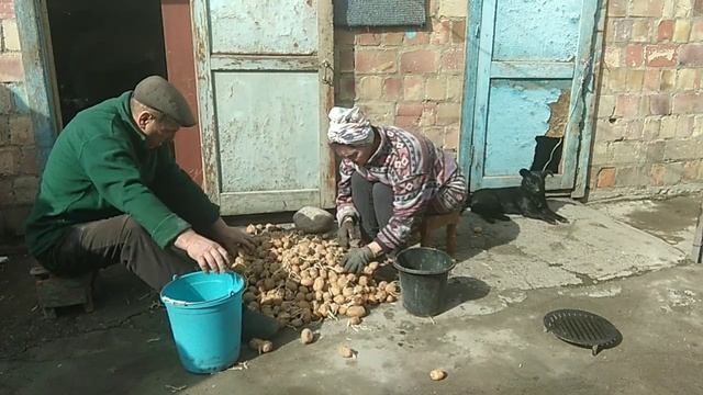 ПЕРЕБРАЛИ КАРТОФЕЛЬ. ? ?НА ПОДАРОК ОТ ПОДПИСЧИЦЫ ???❤️ МУКБАНГ,, ТОЛИ ОБЕД ТОЛИ ПЕРЕКУС!??????????? смотреть онлайн