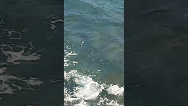 Кипр, Лимасол, средиземное море, волны, шум моря смотреть онлайн