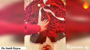 Фатима Эльхаджиева Ма Хербе Безам😍