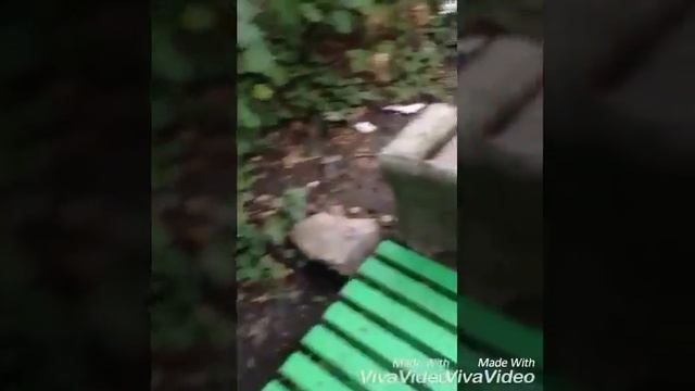 ВЫЗОВ ПРИНЯТ:НАЙТИ КЕРАМБИТ смотреть онлайн