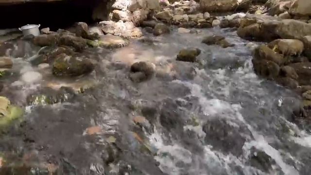 Узбекистан Удивляет Всех ! Узбекские Шашлыки! смотреть онлайн