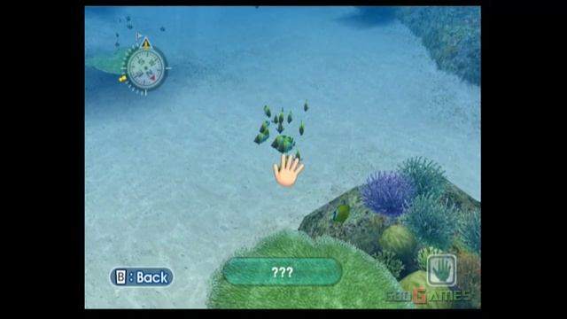 Endless Ocean - Gameplay Wii (Original Wii) смотреть онлайн