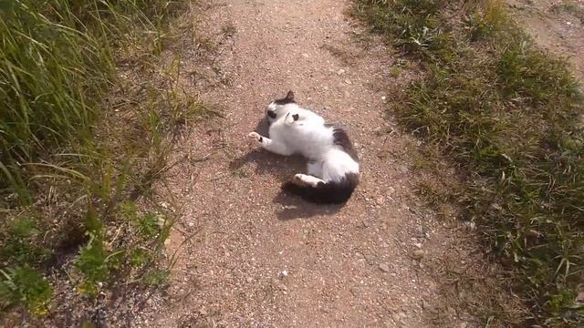 ВЫБРАЛИСЬ НА ДАЧУ С НАШЕЙ МАЛЫШКОЙ смотреть онлайн