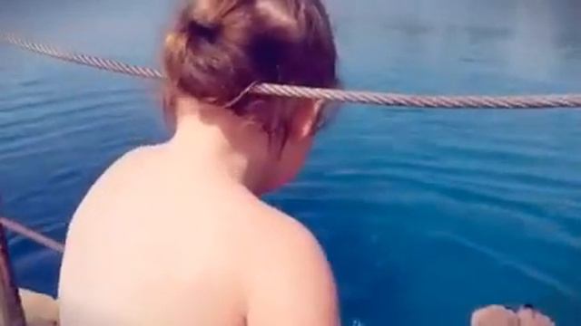 дельфиний риф (Created with @Magisto) смотреть онлайн