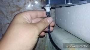 Инкубатор с утинным яйцом#муларды#инкубация утинных яиц