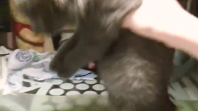 Как снять мерки и шаблон .шьём костюм часть 1 смотреть онлайн