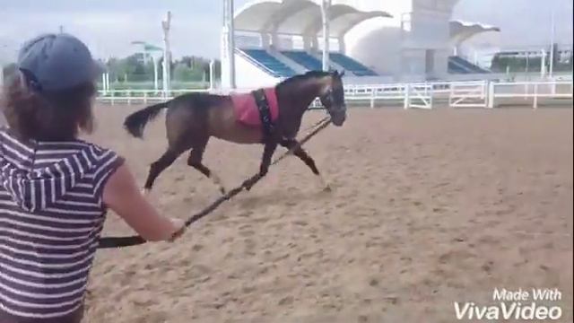 Кордовая тренировка 30.07.2016 смотреть онлайн