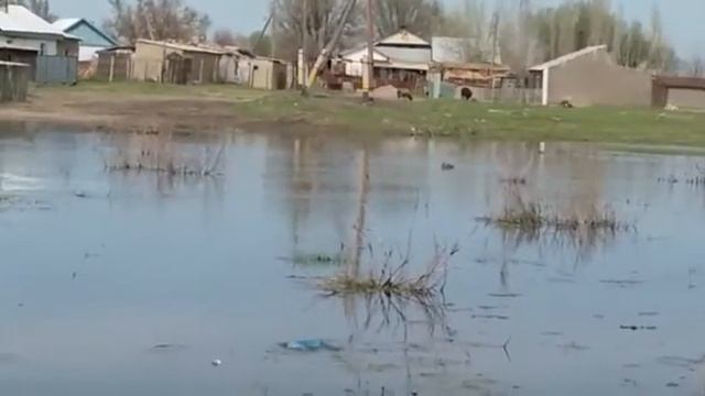 Потоп в Таразе смотреть онлайн