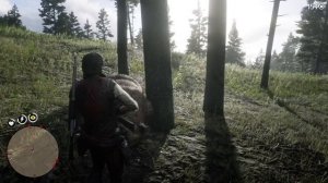 Где найти ГРИЗЛИ в RDR2 | Превосходная медвежья шкура | Трофей "Стиснув зубы"