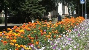 Город Лермонтов