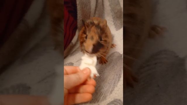 13 февраля 2024 г. смотреть онлайн