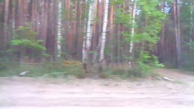 Играет Дассен. ЖЕКА (Евгений Григорьев) ПЕСНИ ДЛЯ ДУШИ смотреть онлайн