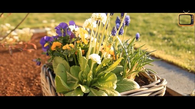 Canon EOS 5D Mark III Video Test смотреть онлайн