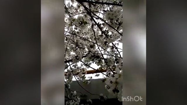 5 жук задание смотреть онлайн