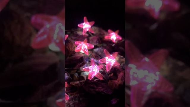 Гирлянда с насадками “Морские звезды» смотреть онлайн