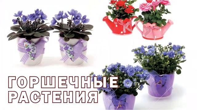 Элитбукет - 8 марта г. Ирбит смотреть онлайн