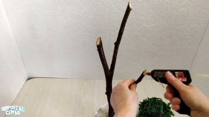 Бонсай. Поделки Своими Руками✔️Bonsai tree DIY
