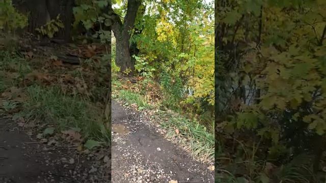 «На самом деле» такими разными могут быть только осенние локации. смотреть онлайн