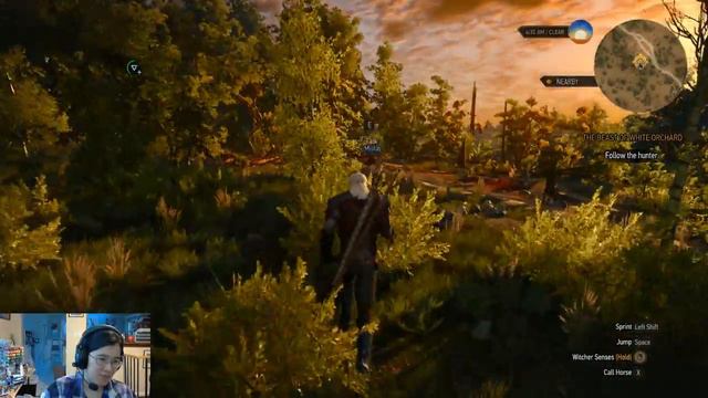 Let's Chill The Witcher 3 Part 5: Reasons for Griffin Aggression смотреть онлайн