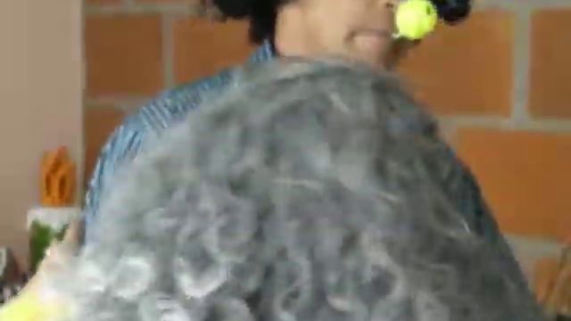 el bobo de camilo torres 1 смотреть онлайн