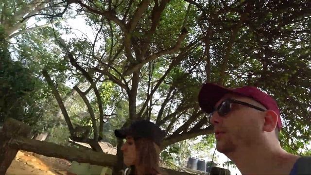 Шри Ланка - Часть 2 (Слоны) смотреть онлайн