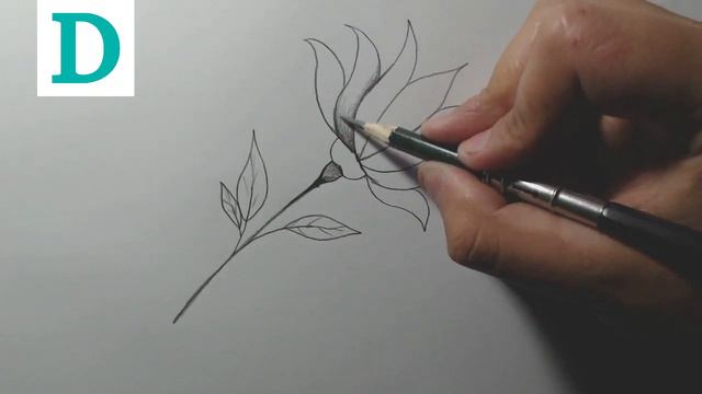 Como desenhar uma flor passo a passo смотреть онлайн