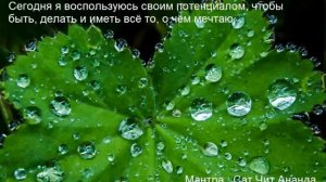 День 5.  Жизнь вашей мечты. 21 день изобилия Дипак Чопра на русском языке