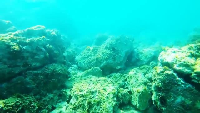 VLOG: ПОД ВОДОЙ ОЧЕНЬ КРУТО! 11.07.15 смотреть онлайн
