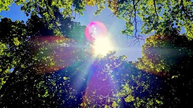 ЧЕМ БОЛЬШЕ ОГРАНИЧЕНИЙ, ТЕМ СИЛЬНЕЕ ОТВЕТ. О ПОСЛЕДНИХ СОБЫТИЯХ НА ЗЕМЛЕ.